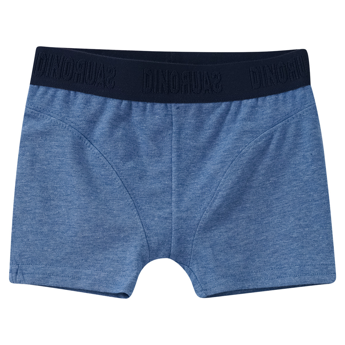 3 Jungen Boxer mit Webbund
