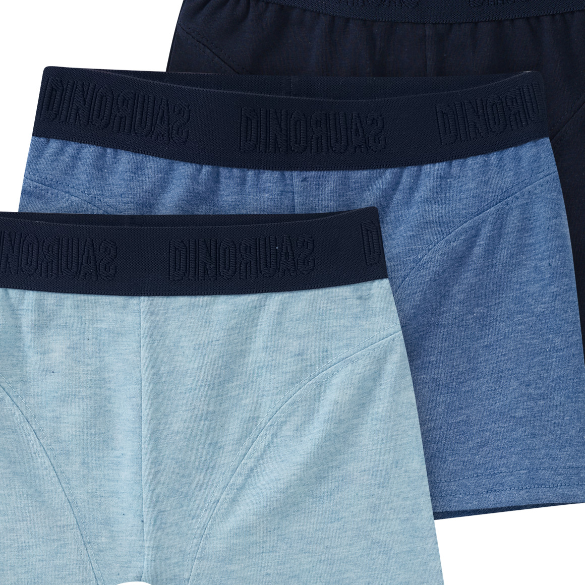 3 Jungen Boxer mit Webbund