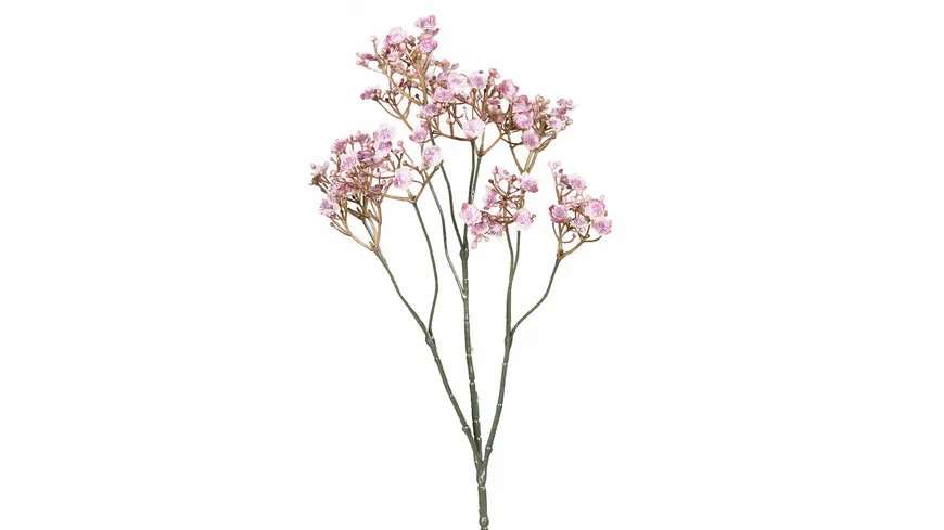 Schleierkraut pink