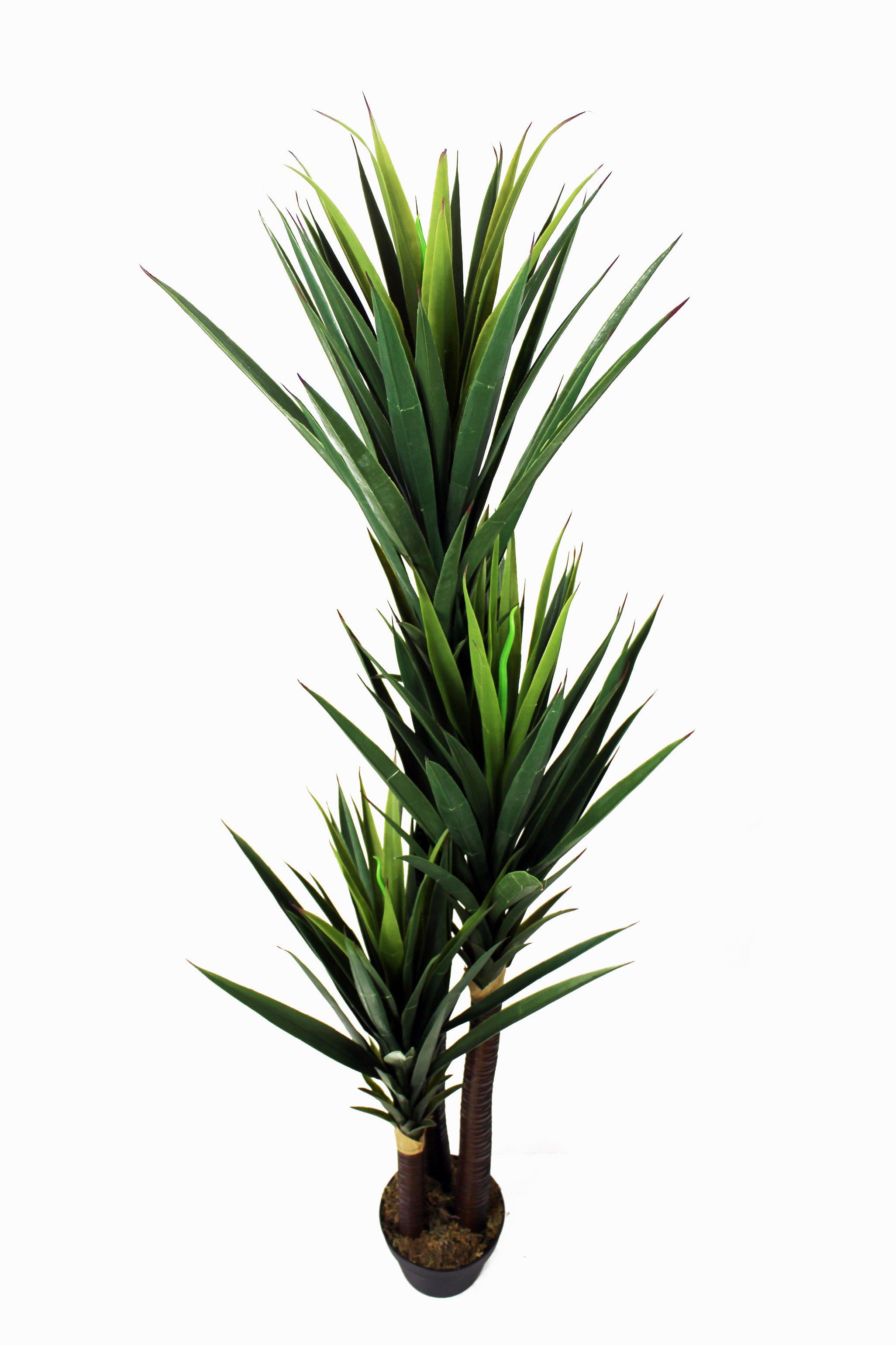 Kunstpalme künstliche Yucca Palme Kunstpflanze im Topf künstliche Pflanze Yucca, Arnusa, Höhe 150 cm, mit beschwerten Topf