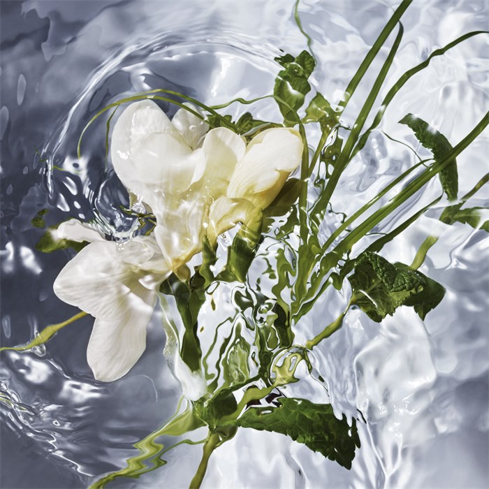 Eau de Toilette Spray