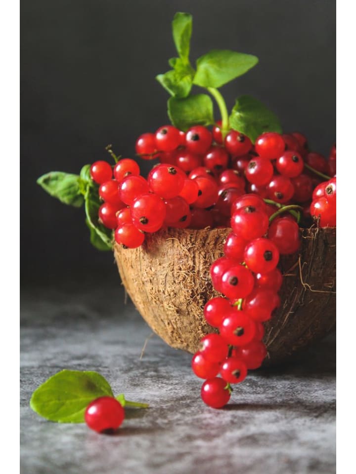 OH2 6er- Beeren in Bunt günstig kaufen onesize