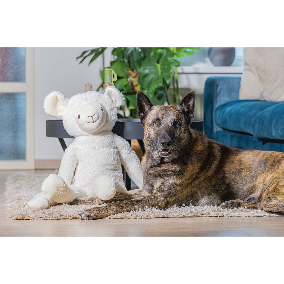 Beeztees XL Hundespielzeug plüsch Schaf Jessy weiß bei ZooRoyal