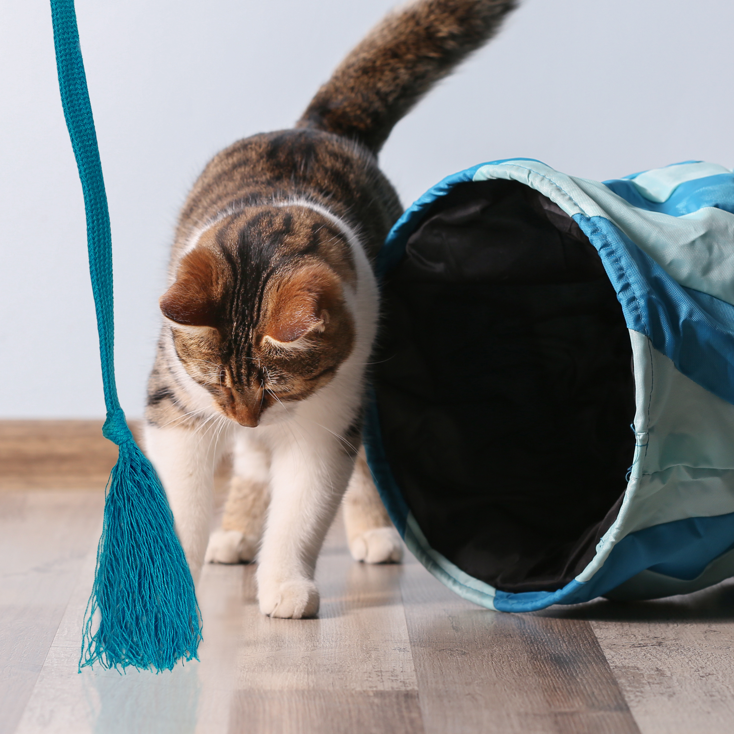 Kater Kasimir Katzenangeln Kater Kasimir Premium Katzenspielzeug aus Buchenholz mit Baumwollband (türkis)