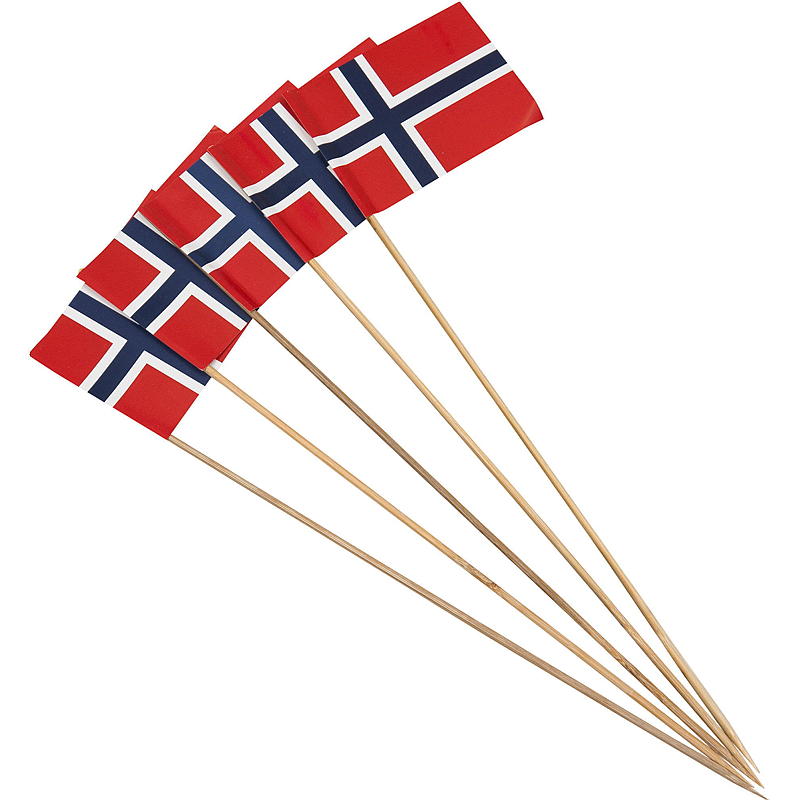 Giform Blomsterpinne 6-pk, m/norsk flagg