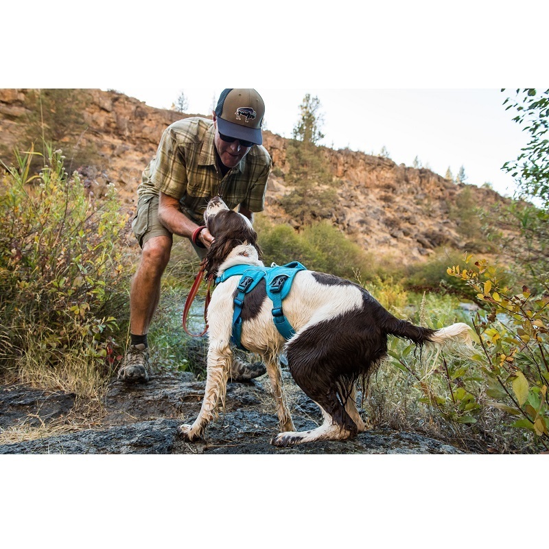 Ruffwear Hundegeschirre Ruffwear Geschirr Webmaster blau XS