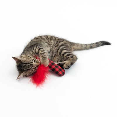 TIAKI Katzenspielzeug Tartan-Kicker mit Katzenminze