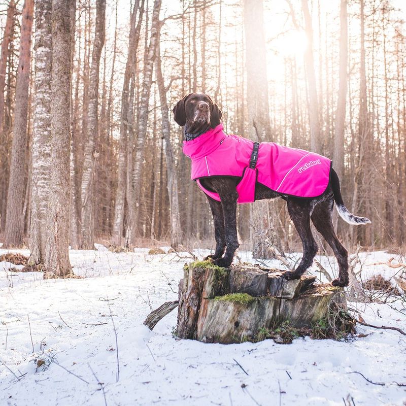Rukka Warmup Hundemantel, pink zu TOP-Preisen