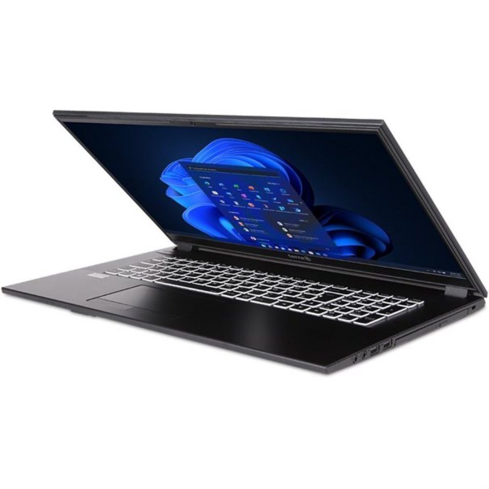 TERRA MOBILE 1716A Notebook (43,90 cm/17.3 Zoll, Intel Pentium Gold, Intel® UHD Graphics, 256 GB SSD)