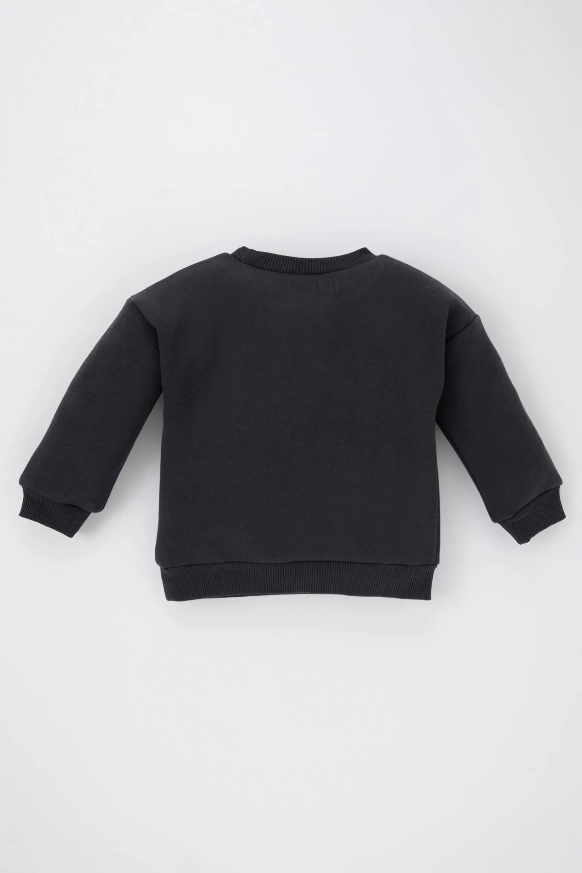 DeFacto  Bedrucktes, weiches, pelziges Innen-Sweatshirt mit Rundhalsausschnitt für Babys (Mädchen) A9929a523au
