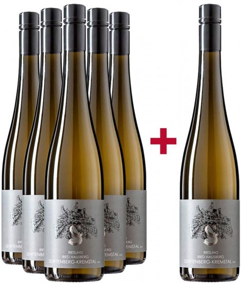 5+1 Paket Ried Hausberg Riesling Senftenberg-Kremstal DAC trocken - Andrea Schenter