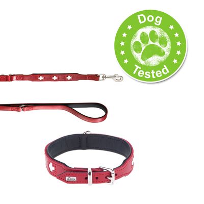 HUNTER Set: Halsband Swiss + Hundeleine Swiss