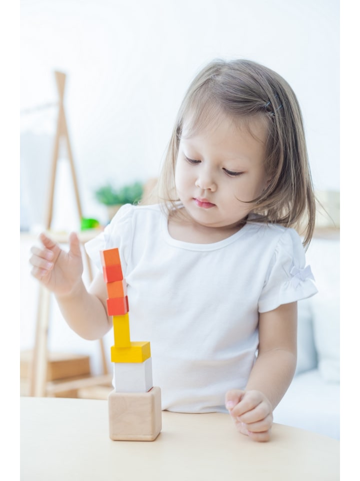 Plan Toys Essential Serie: Knobelwürfel ab 18 Monate günstig kaufen onesize