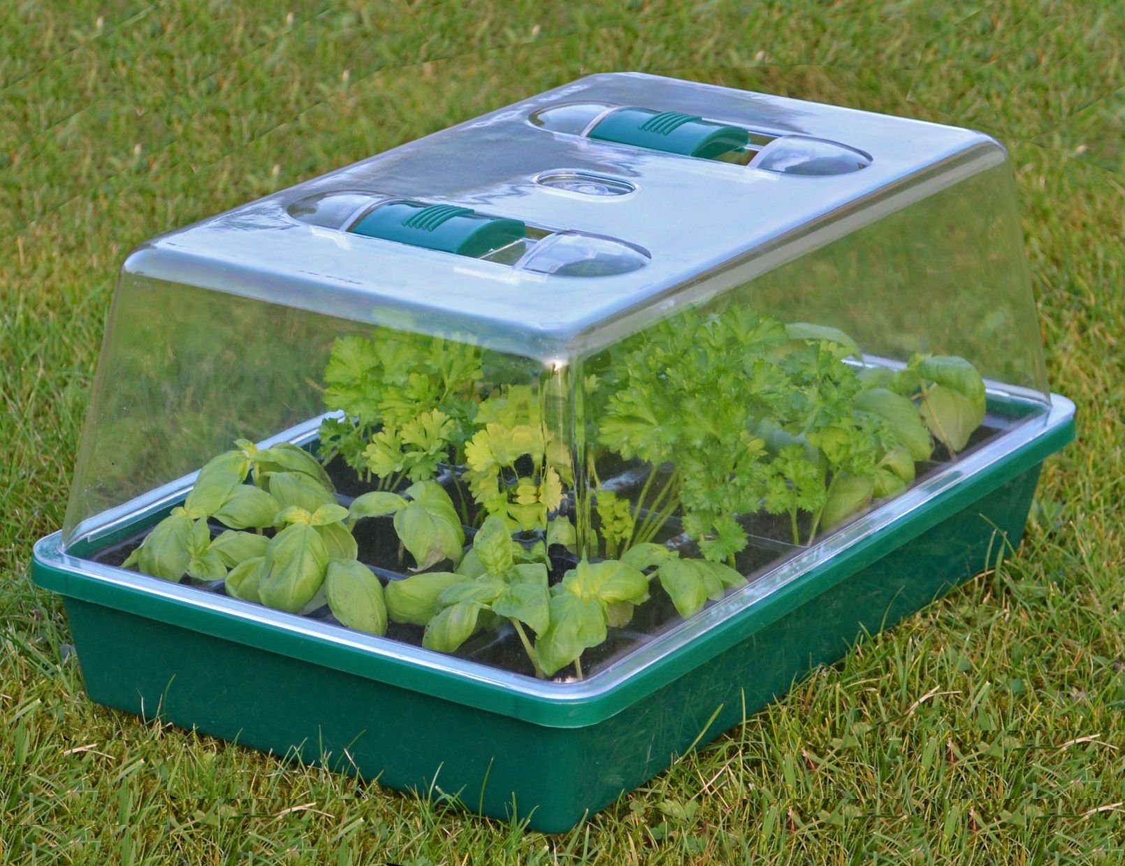 Haushalt International Anzuchttopf Mini Gewächshaus - 38 x 24 cm - Anzuchtschale