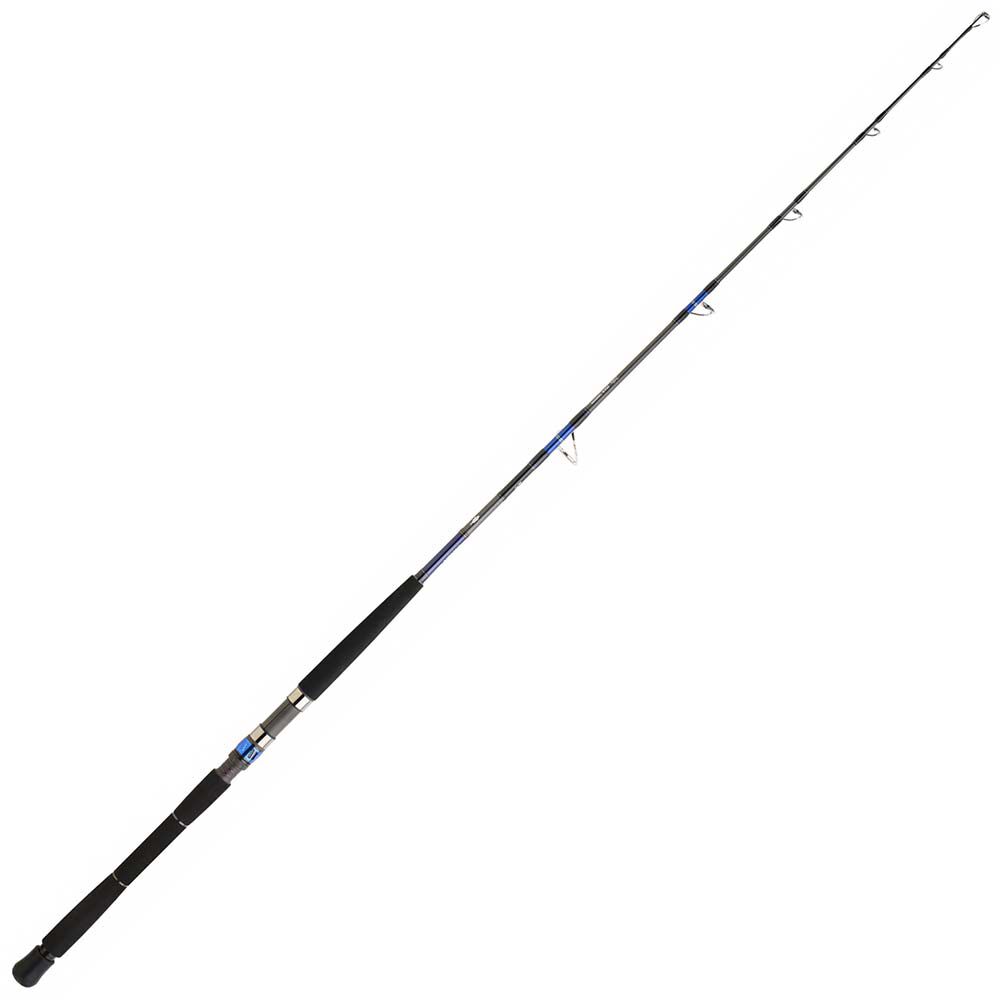 Palica za jigging Saltiga Jigging Deep EX58, dolžina 1,73 m, nosilnost 80 lbs