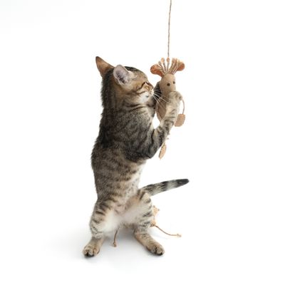TIAKI Katzenspielzeug-Set Maus mit Katzenminze