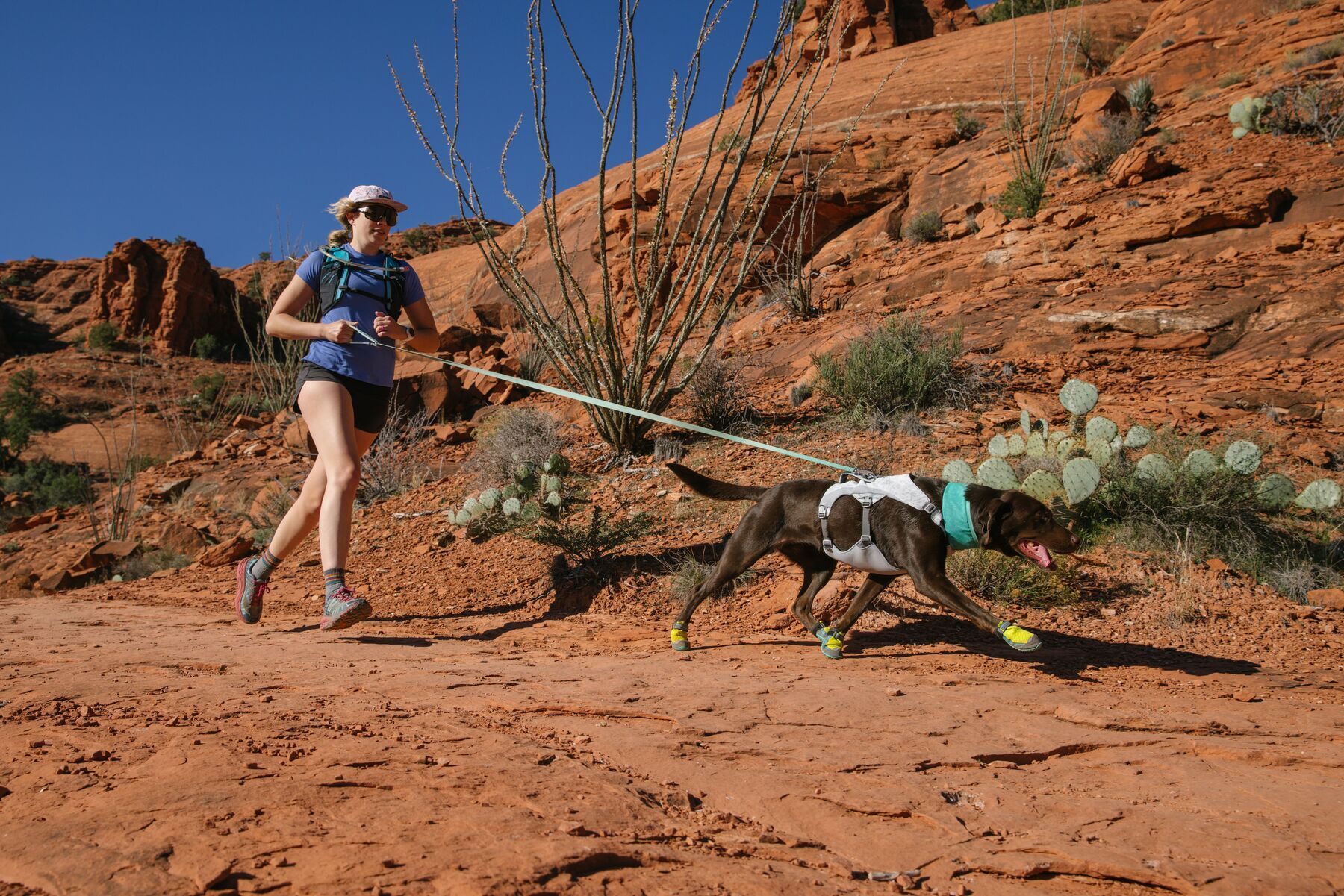 Ruffwear Hundeleinen Ruffwear Flagline™ Leine grün