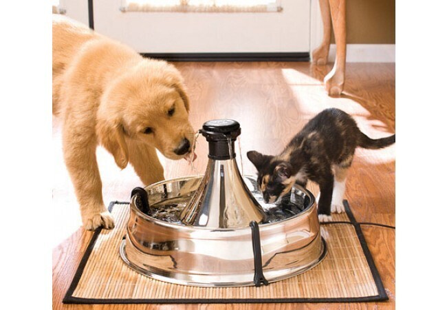 PetSafe Trinkbrunnen PetSafe Drinkwell Edelstahl Trinkbrunnen 3,8L