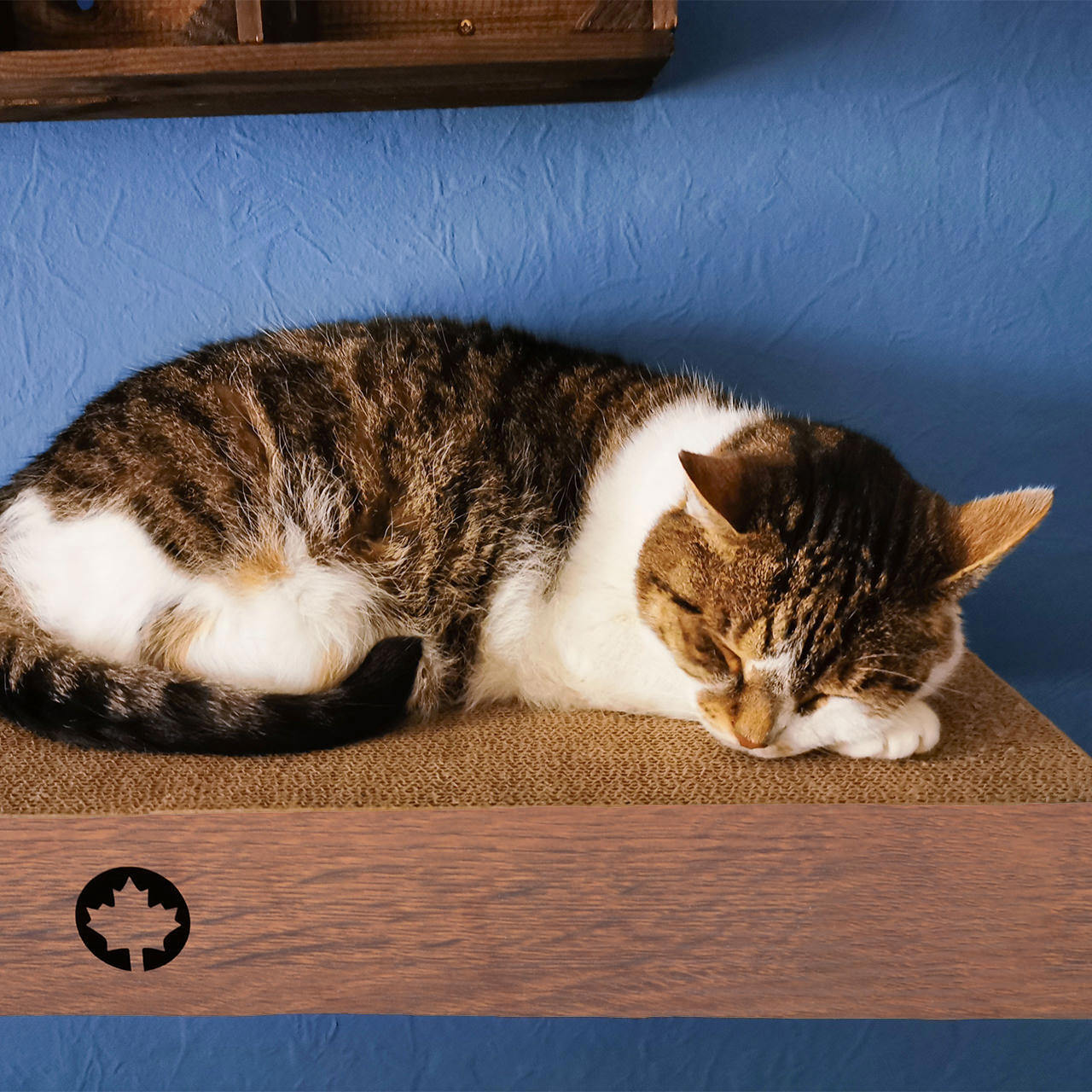 Canadian Cat Company Kratzbretter & Kratzpappen Canadian Cat Company 3er Set Kratzbrett Cloud für die Wand braun