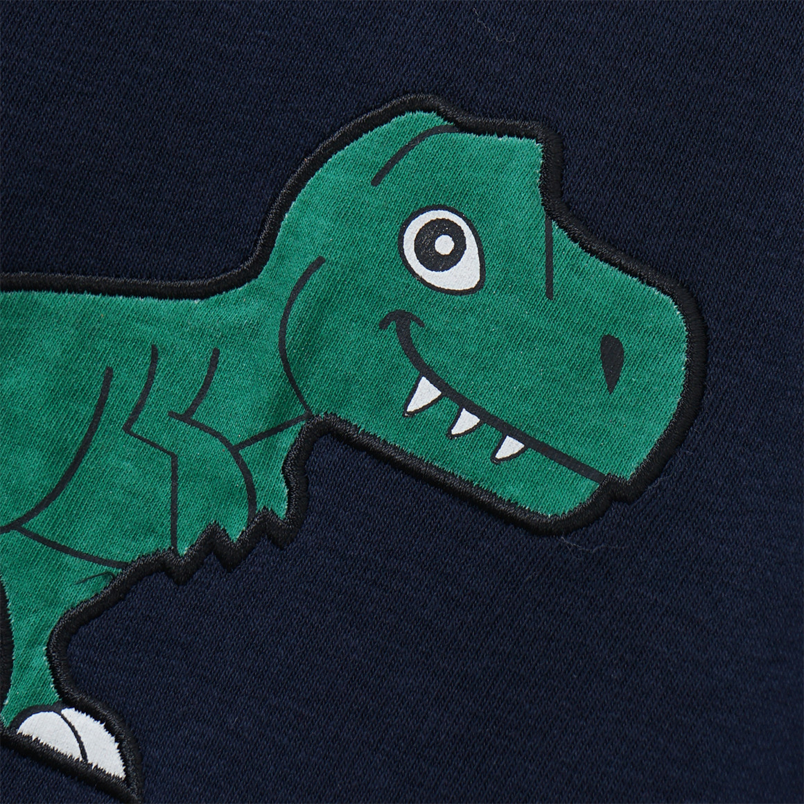 Kinder Sweatshirt mit Dino-Applikation