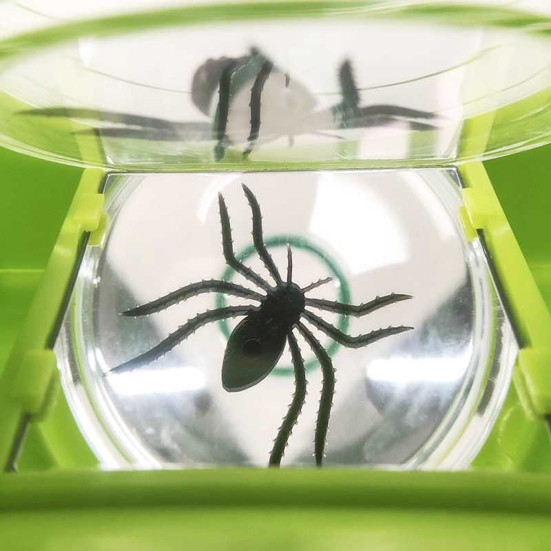Visionneuse d'insectes Oxybul