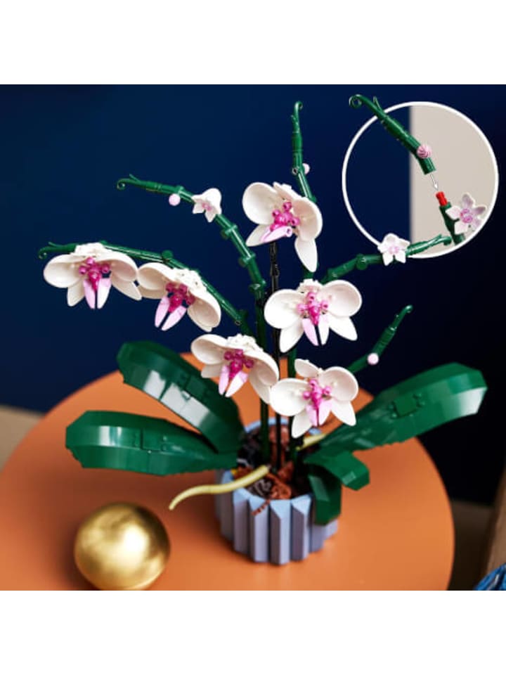 LEGO Bausteine Creator 10311 Orchidee günstig kaufen onesize