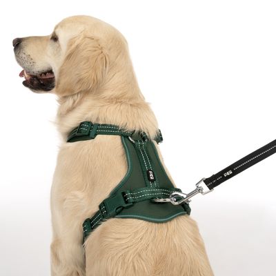 TIAKI Geschirr Neoprene, grün