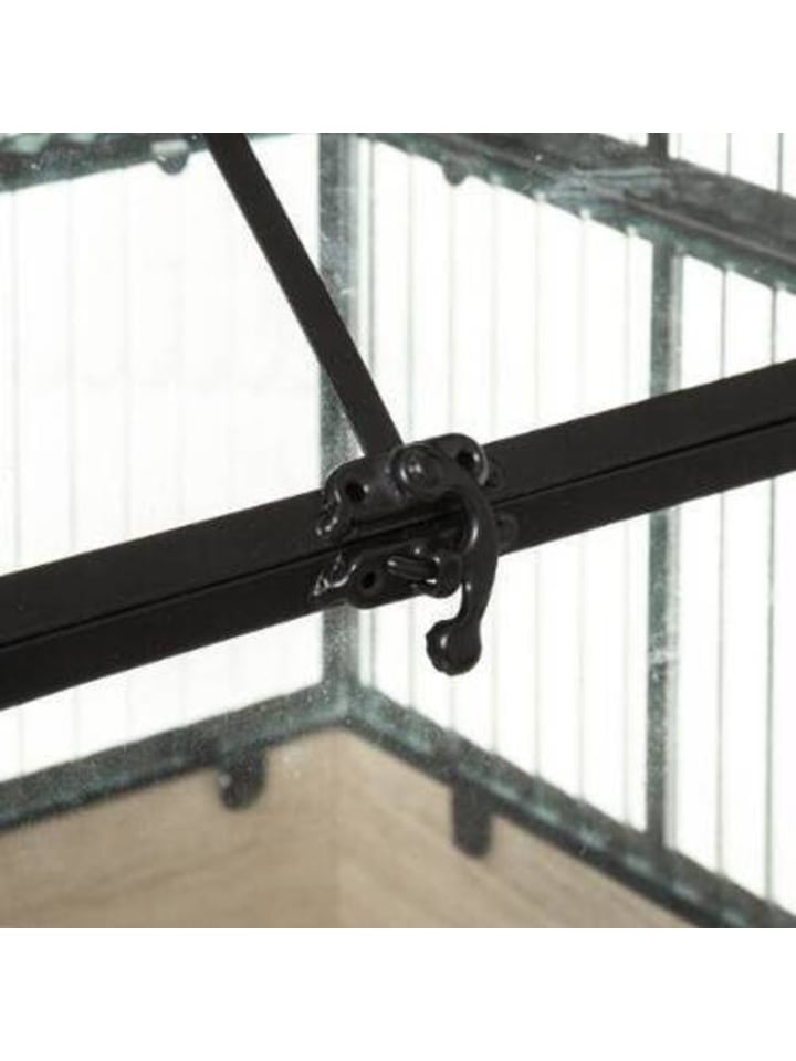 Atmosphera Créateur d'intérieur Mini-Gewächshaus in schwarz günstig kaufen onesize