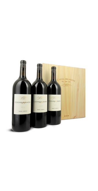 Mendoza Caisse Cheval des Andes - 3 magnums Cheval des Andes (2011/2012/2013)