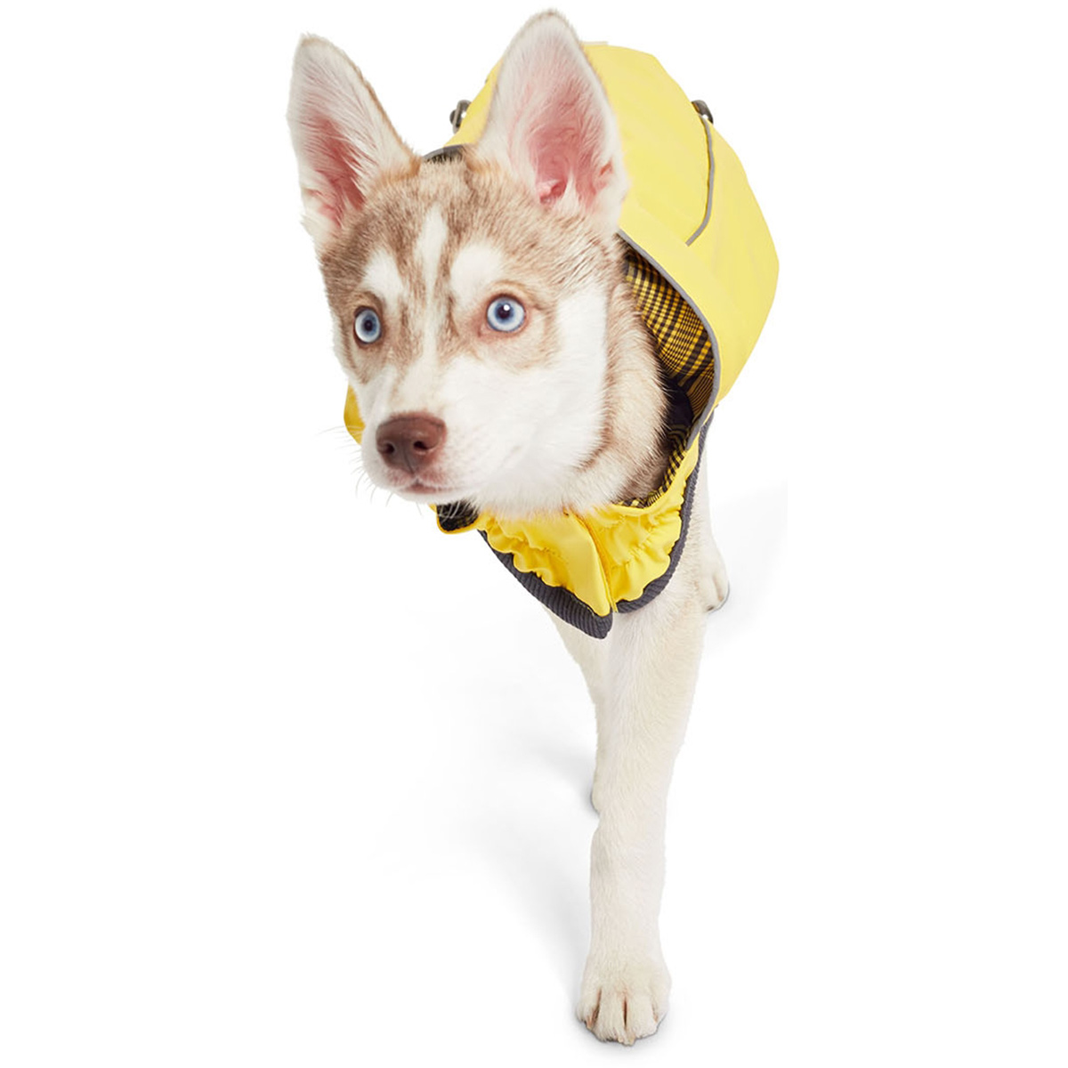 GF Pet Elastofit Regenmantel gelb günstig kaufen bei ZooRoyal