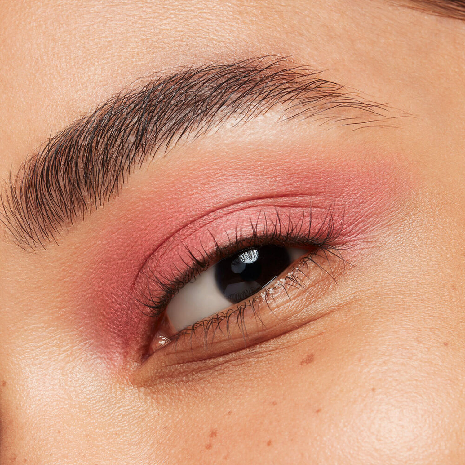 Shiseido Pop Powdergel Ombre à Paupières