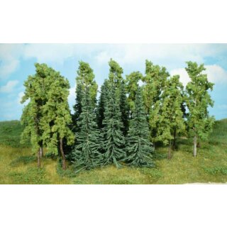 Bäume u. Tannen 12-16 cm (15 Stk.)