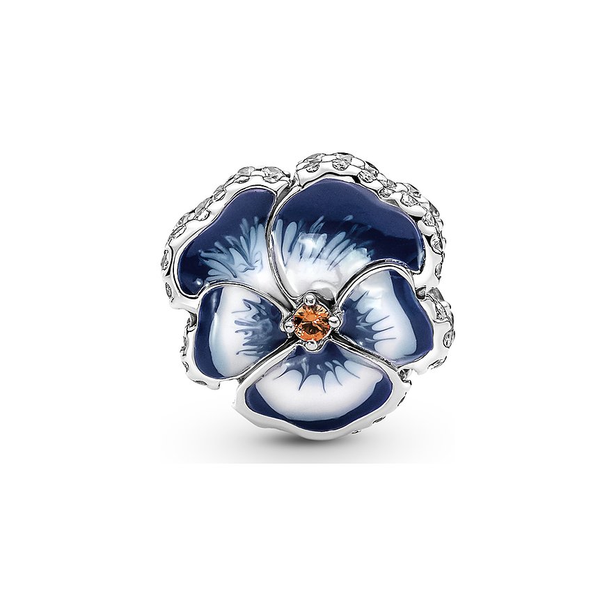 Pandora Charm Moments