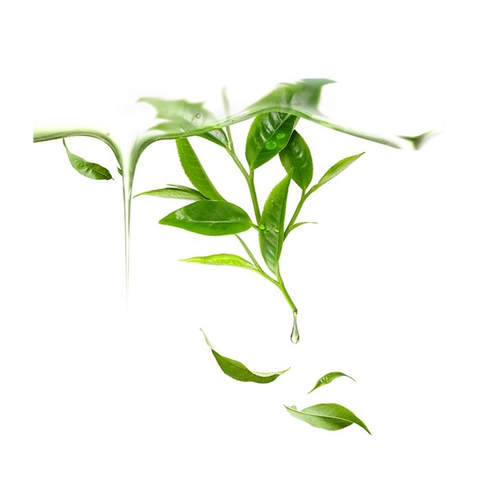 UFO Mask Green Tea