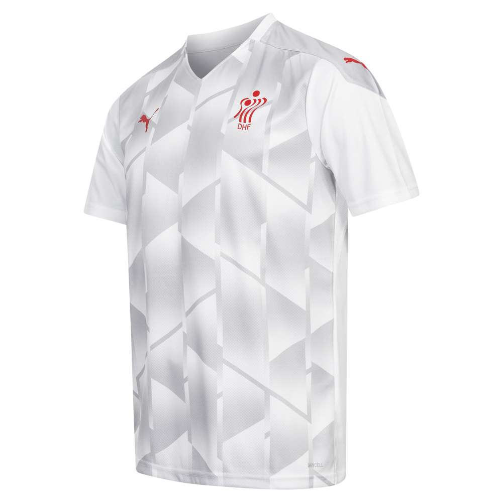 Dänemark DHF PUMA Handball Herren Trikot 757996-02
