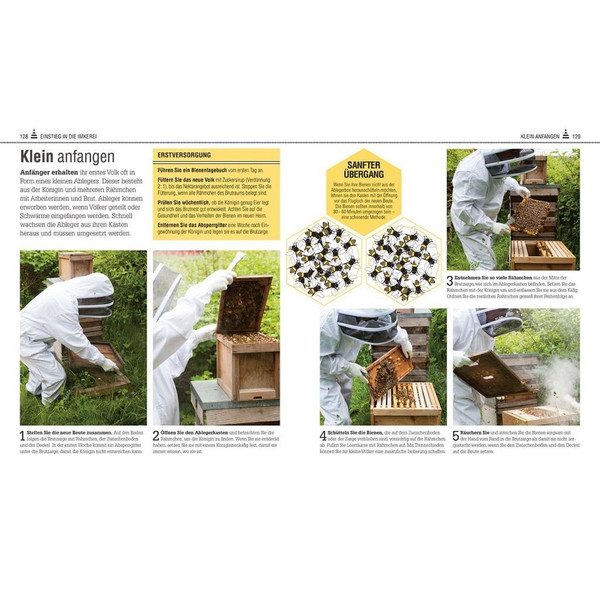 Das Bienen Buch - Sachbuch