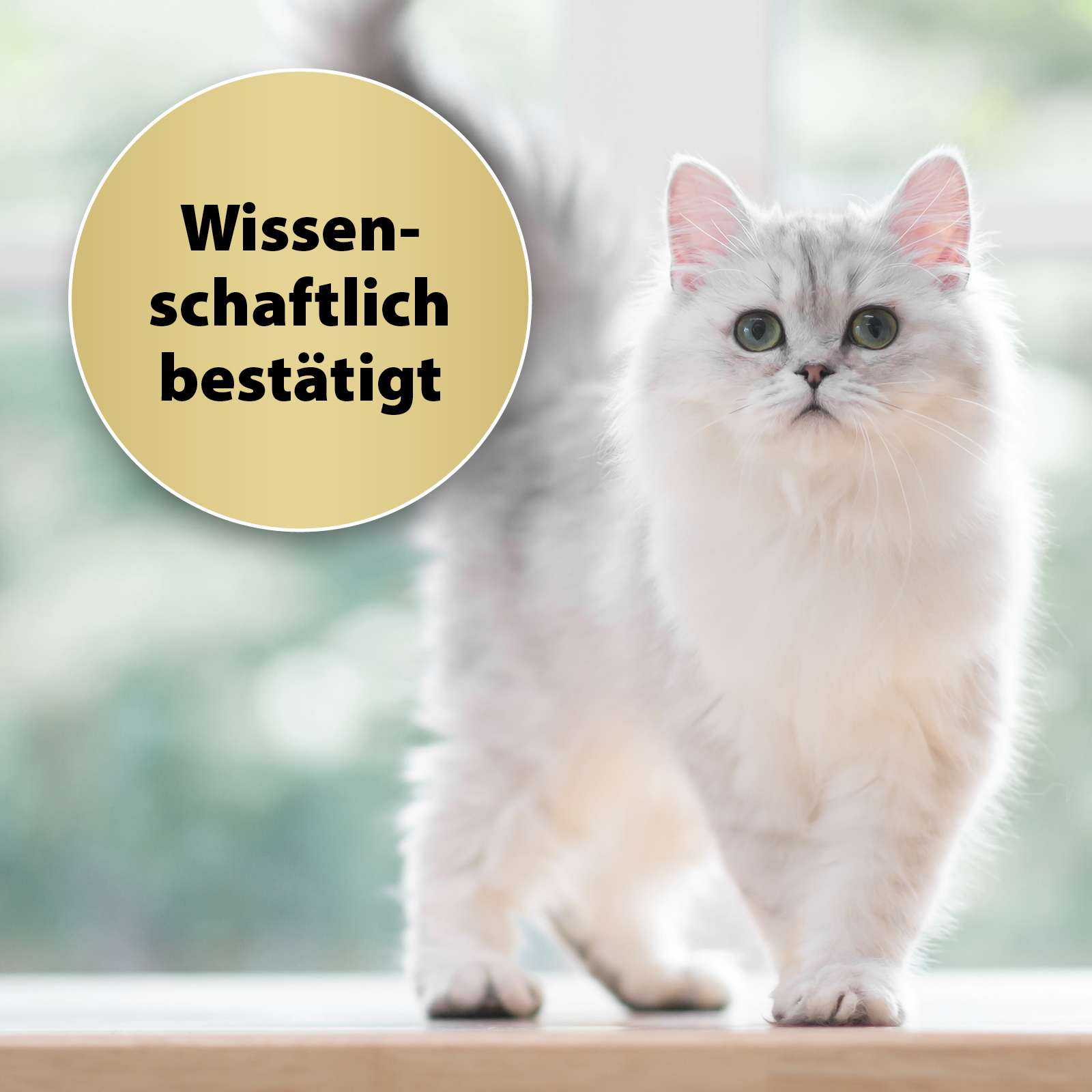 Felisept Beruhigungsmittel Felisept Home Comfort Nachfüller 45ml