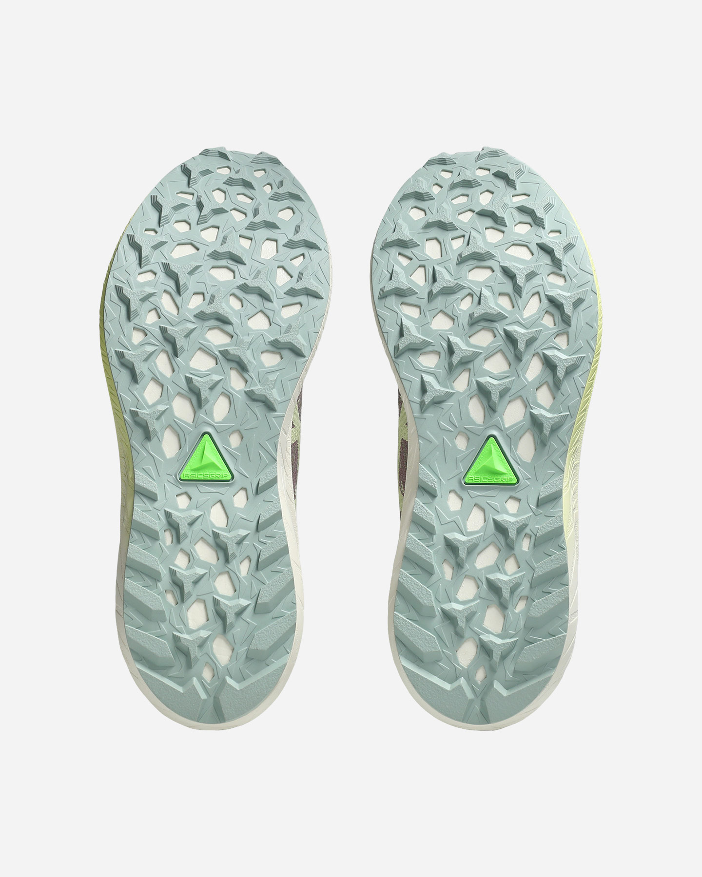 Scarpe Trail Asics Fuji Lite 5 W 1012B690-501