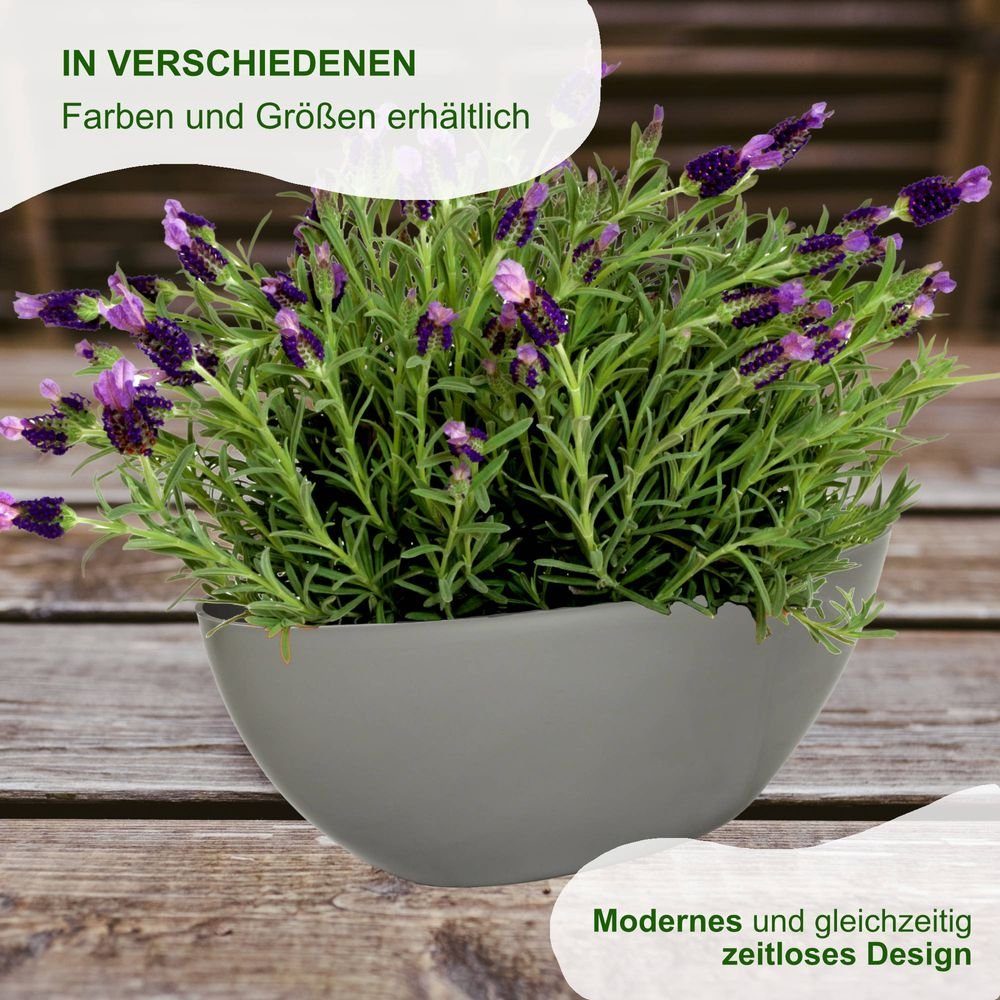 Heimwerkercenter Übertopf MePla - 2 Stück Schale OVAL - wetterfestes Pflanzgefäß - UV-beständiger Blumenkübel - Pflanzschale - Schale - L 21 cm - grau