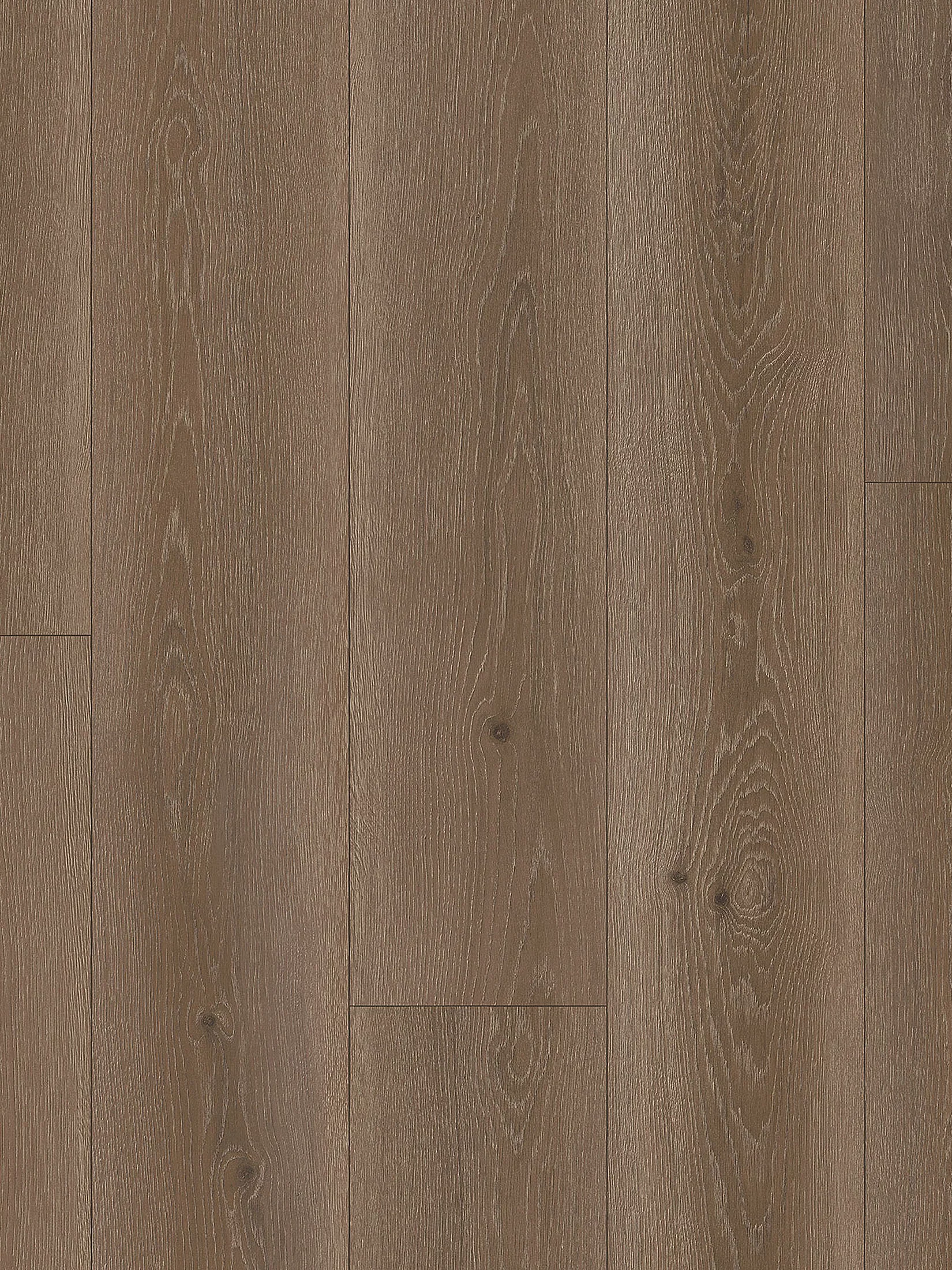 Scandic Wood Vinyl-Rollenware, Eiche Grau 66