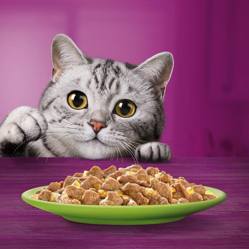 Megapack Whiskas 1+ Adult Frischebeutel 48 x 85 g