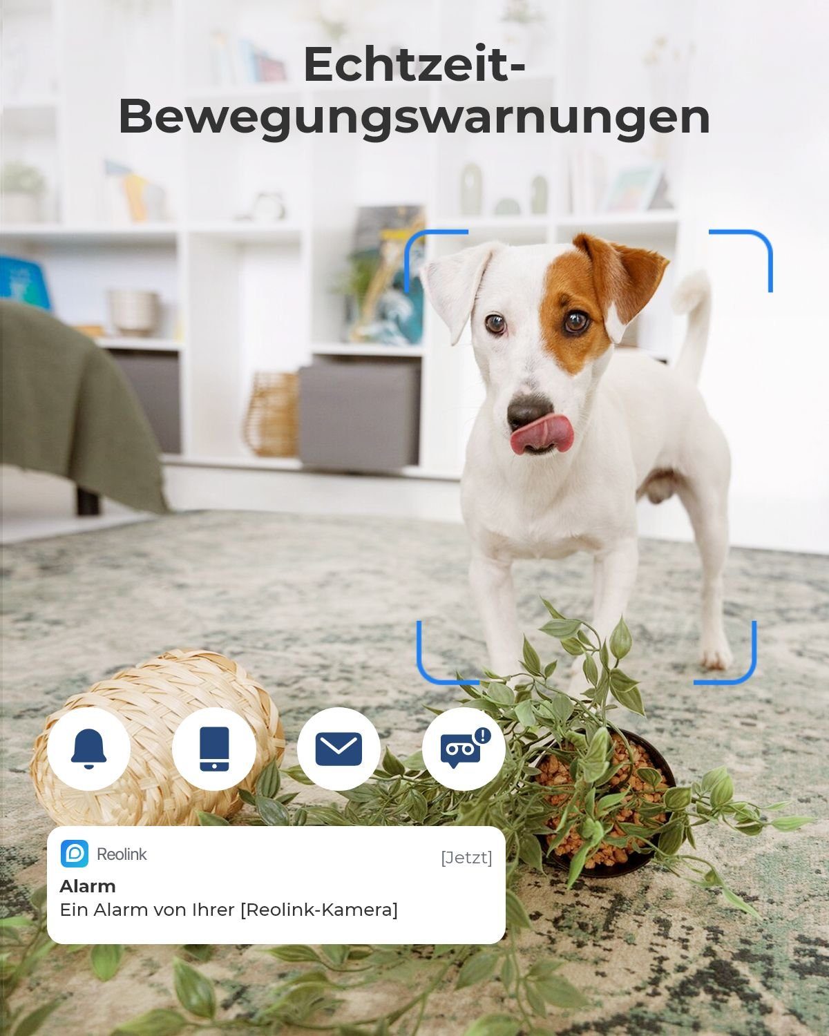 Reolink E1 3MP WLAN IP Überwachungskamera (Indoor, Packung, 1-tlg., 355° Schwenk & 50° Neigung, Pan-Tilt, 2,4-GHz-WLAN, Bewegungserkennung, Bidirektionales Audio)