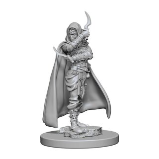 Human Female Rouge: Pathfinder Deep Cuts Unpainted Minis