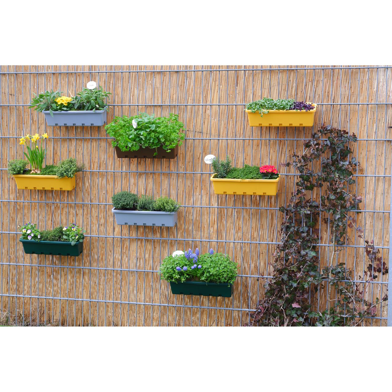GreenLife Blumen- / Kräuterbox 5 Stück, grün, komplett