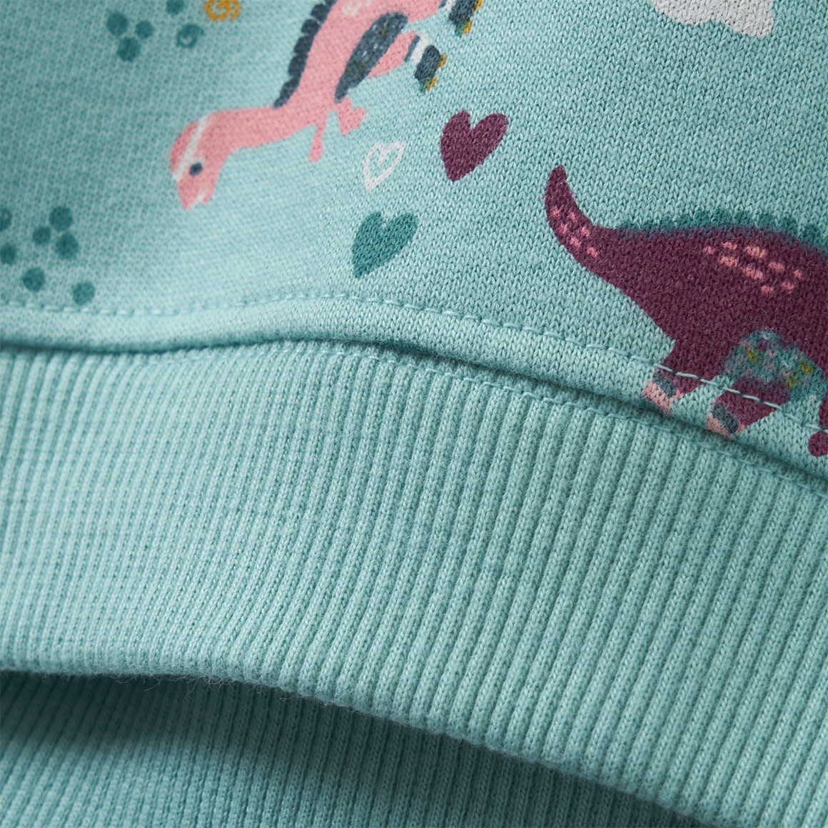 Baby Sweatshirt mit Dino-Allover