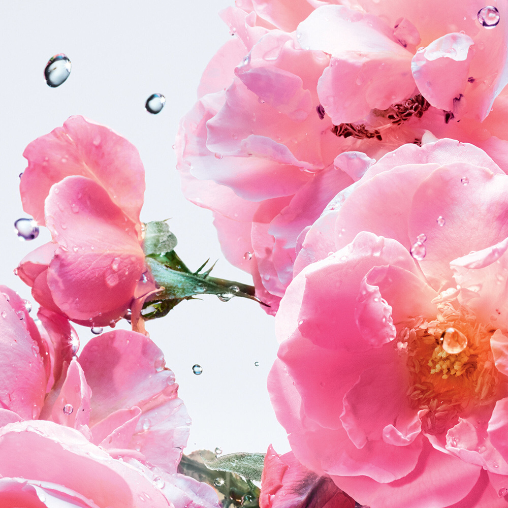 DIOR Miss Dior Rose N'Roses Eau de Toilette