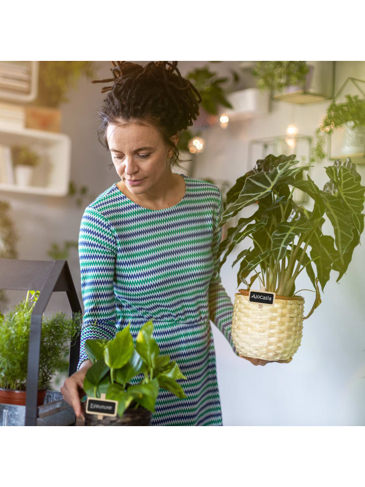 relaxdays 48er-Set: Tafelklammern in Natur günstig kaufen onesize