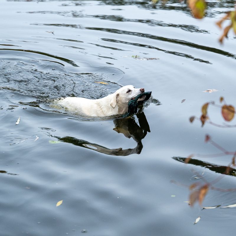 Nomad Tales Spirit Schwimmender Dummy zu TOP-Preisen | bitiba %