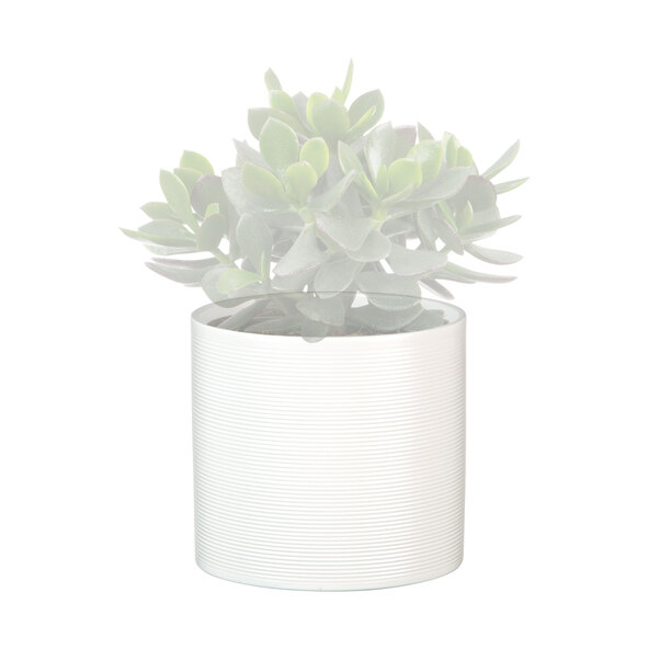 Keramik-Blumentopf 3er Set Ø 16 cm, Panna