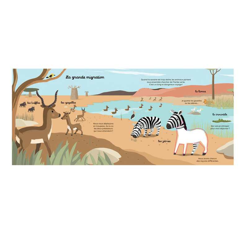 Livre Les animaux de la savane - Milan Jeunesse